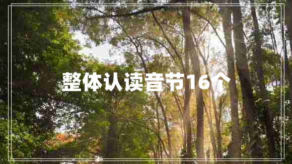 整體認讀音節16個(gè)