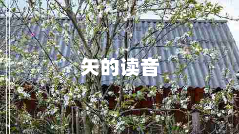 矢的讀音