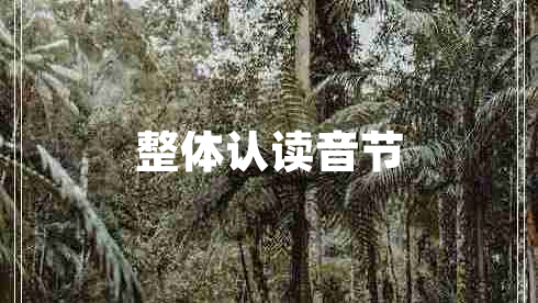 整體認讀音節