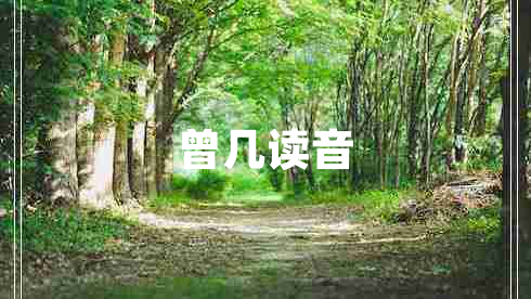 曾幾讀音