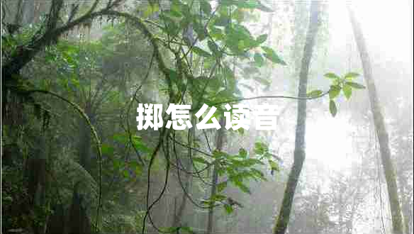 擲怎么讀音