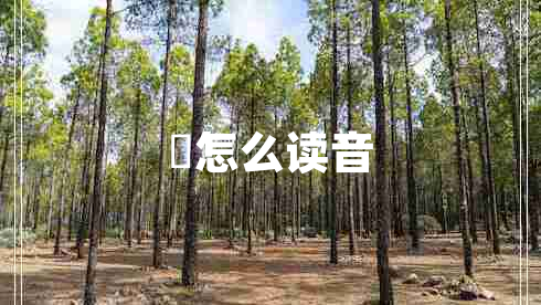 翀怎么讀音