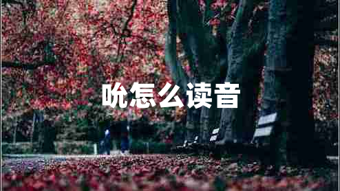 吮怎么讀音