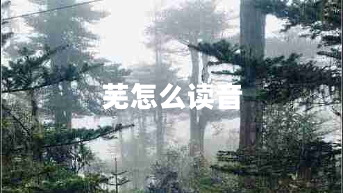 蕪怎么讀音