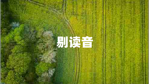 剔讀音