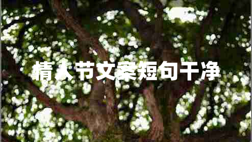 情人節文案短句干凈