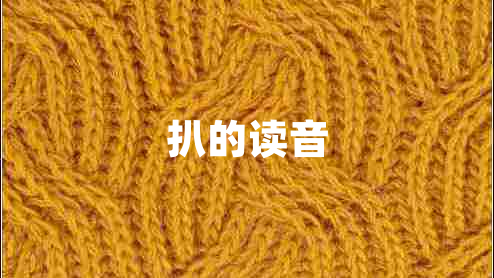 扒的讀音