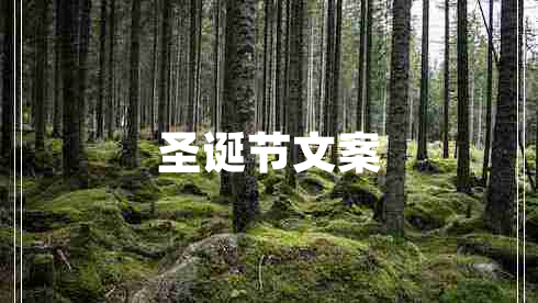 圣誕節文案
