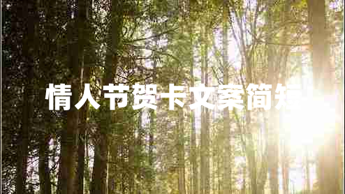 情人節賀卡文案簡(jiǎn)短