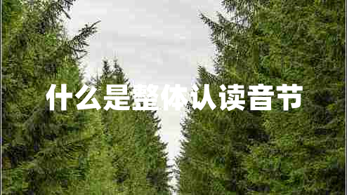 什么是整體認讀音節