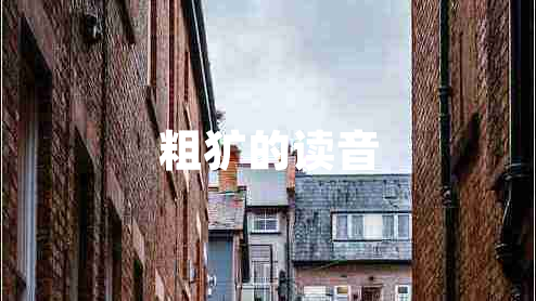 粗獷的讀音