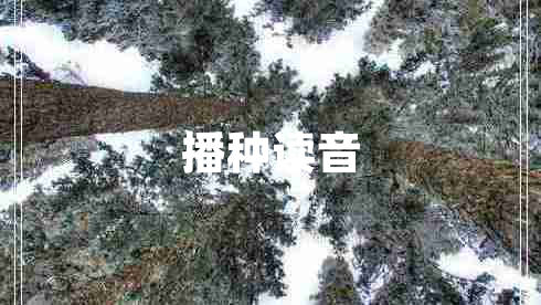 播種讀音