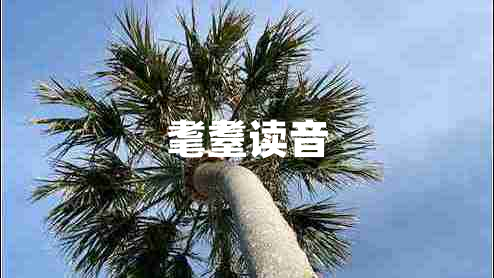 耄耋讀音