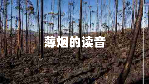 薄煙的讀音