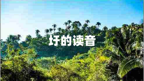 圩的讀音