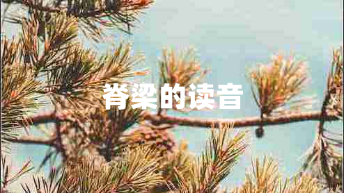脊梁的讀音