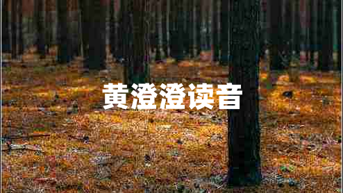 黃澄澄讀音