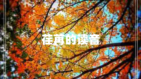 荏苒的讀音