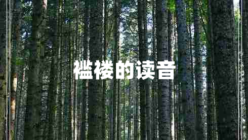 襤褸的讀音