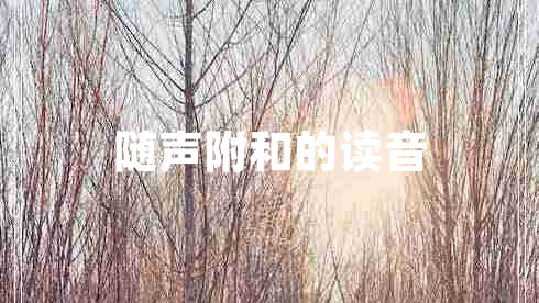 隨聲附和的讀音