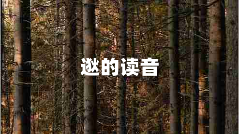 逖的讀音