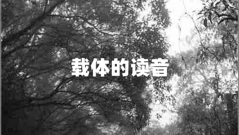 載體的讀音