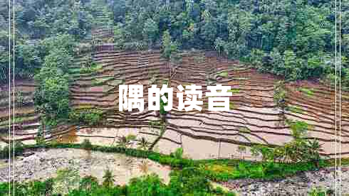 隅的讀音