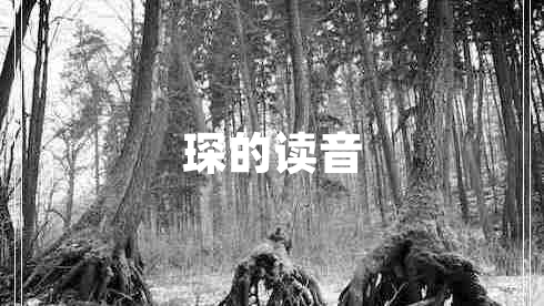 琛的讀音