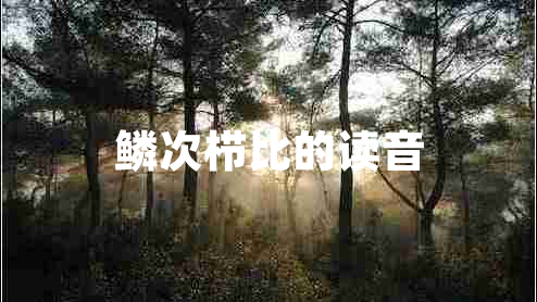 鱗次櫛比的讀音