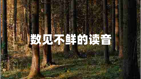 數見(jiàn)不鮮的讀音