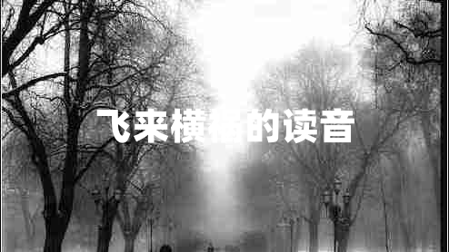 飛來(lái)橫禍的讀音