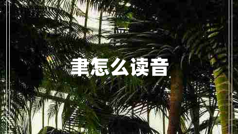 聿怎么讀音