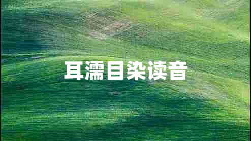 耳濡目染讀音