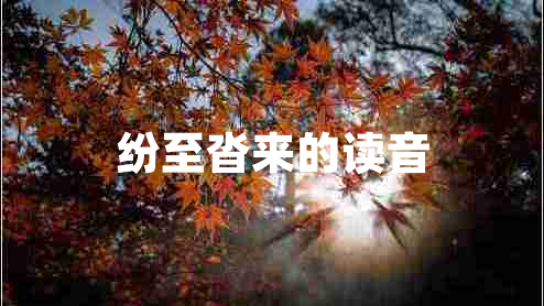 紛至沓來(lái)的讀音