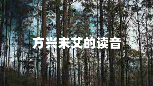 方興未艾的讀音