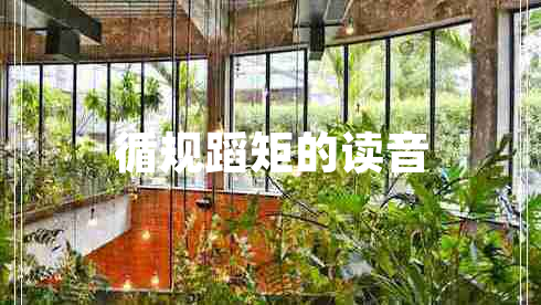 循規蹈矩的讀音