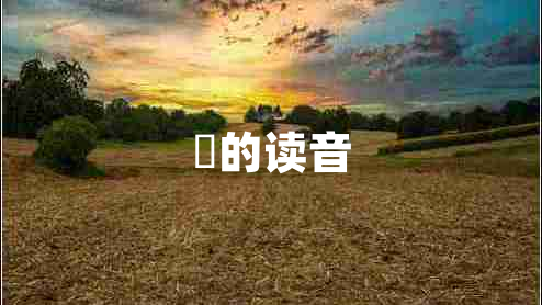 抔的讀音