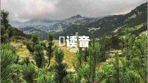 囧讀音