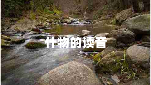 什物的讀音