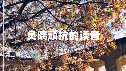 負隅頑抗的讀音