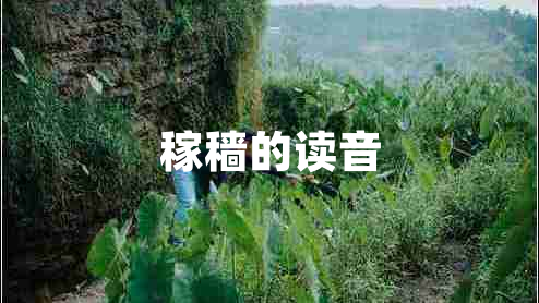 稼穡的讀音