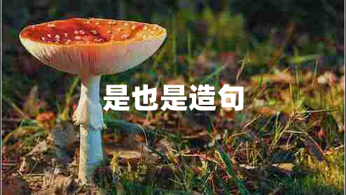 是也是造句