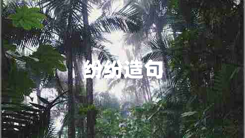 紛紛造句
