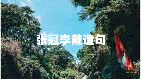 張冠李戴造句