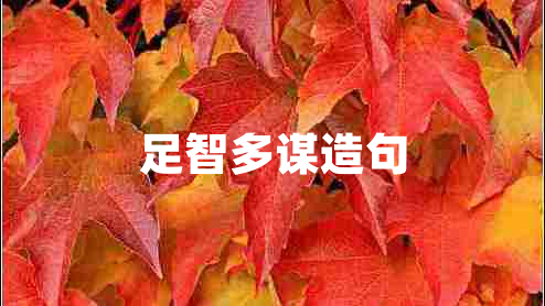 足智多謀造句