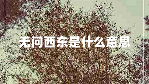 無(wú)問(wèn)西東是什么意思