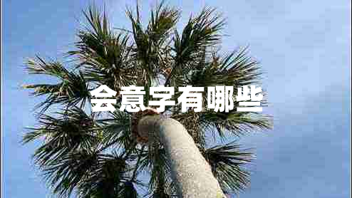 會(huì )意字有哪些
