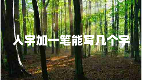 人字加一筆能寫(xiě)幾個(gè)字