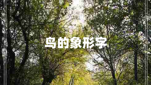 鳥的象形字