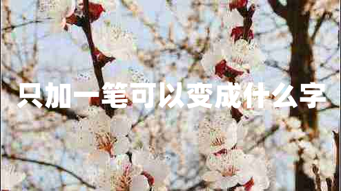 只加一筆可以變成什么字